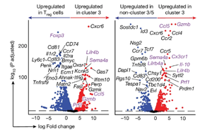 Nature：免疫系統(tǒng)在對抗癌癥的過程中最大的敵人居然是自己！