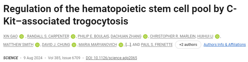 C-Kit相關(guān)的吞噬作用對(duì)造血干細(xì)胞庫(kù)的調(diào)節(jié)
