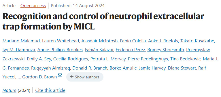 MICL對(duì)中性粒細(xì)胞胞外陷阱形成的識(shí)別和控制 MICL對(duì)中性粒細(xì)胞胞外陷阱形成的識(shí)別和控制