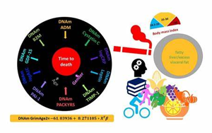 獨特的衰老生物標志物