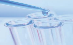 邁瑞引燃股市熱潮，西寶配對抗體助力再攀診斷市場新高