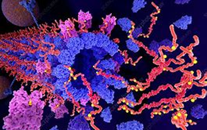 Tau不僅是“壞人”，它還扮演著“好人”的角色，保護我們的大腦
