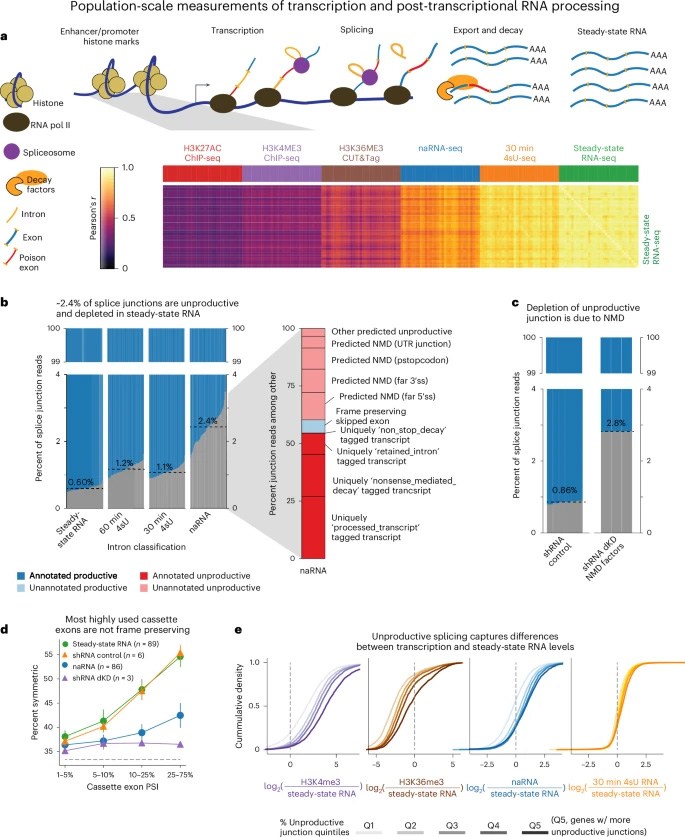 在轉(zhuǎn)錄之前、期間和之后捕獲的基因組數(shù)據(jù)揭示了NMD亞型的豐富性