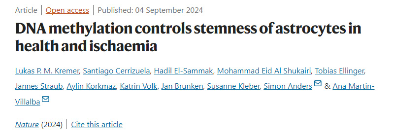DNA甲基化控制健康和缺血星形膠質(zhì)細胞的干性
