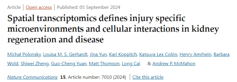 
空間轉(zhuǎn)錄組學定義了腎臟再生和疾病中損傷特異性微環(huán)境和細胞相互作用