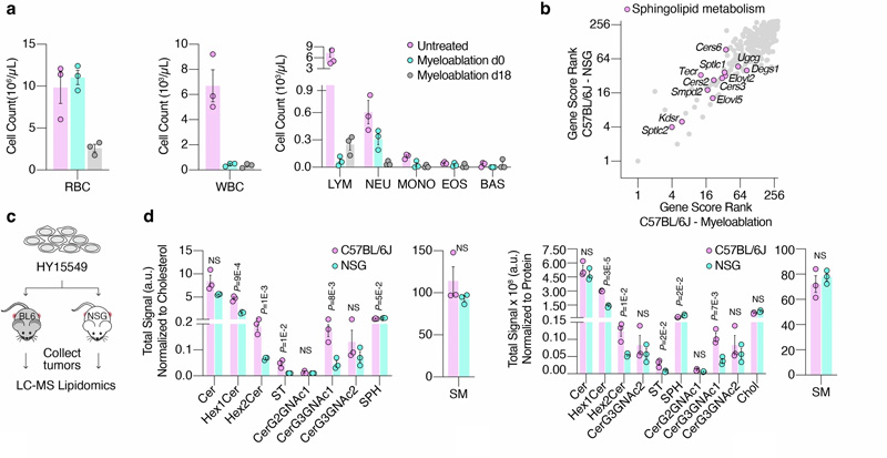 癌癥細胞鞘脂的可用性介導免疫逃避 癌癥細胞鞘脂的可用性介導免疫逃避