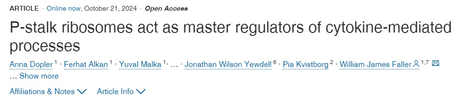 P-莖區(qū)核糖體是細胞因子介導(dǎo)過程的主要調(diào)節(jié)因子
P-莖區(qū)核糖體是細胞因子介導(dǎo)過程的主要調(diào)節(jié)因子