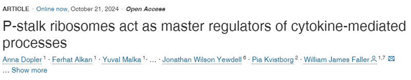 
P-柄核糖體是細胞因子介導(dǎo)過程的主要調(diào)節(jié)因子