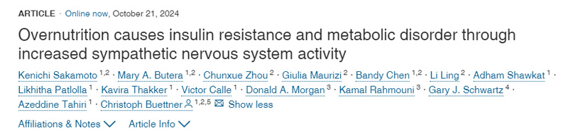 
營(yíng)養(yǎng)過剩通過增加交感神經(jīng)系統(tǒng)活動(dòng)導(dǎo)致胰島素抵抗和代謝紊亂