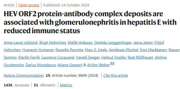 戊型肝炎ORF2蛋白抗體復(fù)合物沉積與免疫狀態(tài)降低的戊型肝炎腎小球腎炎有關(guān)