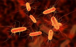 《Nature》腸道中的某些大腸桿菌如何促進(jìn)結(jié)腸癌？