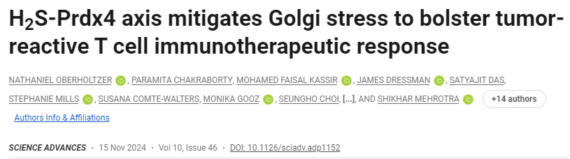 H2S-Prdx4軸減輕高爾基體應激，增強腫瘤反應性T細胞免疫治療反應