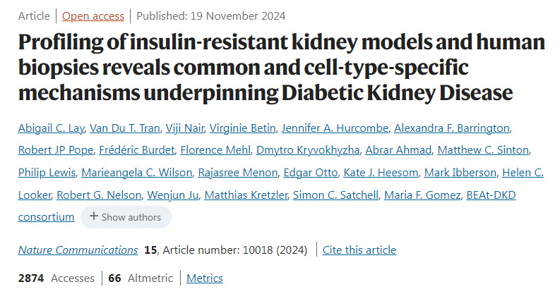 胰島素抵抗腎臟模型和人類活檢的分析揭示了糖尿病腎病的常見和細(xì)胞類型特異性機(jī)制
