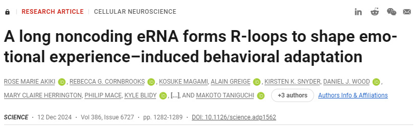 長(zhǎng)的非編碼eRNA形成R環(huán)，以塑造情緒體驗(yàn)誘導(dǎo)的行為適應(yīng)