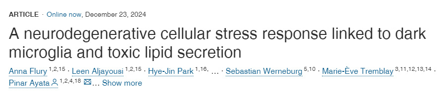 與暗小膠質(zhì)細胞和有毒脂質(zhì)分泌相關(guān)的神經(jīng)退行性細胞應(yīng)激反應(yīng)