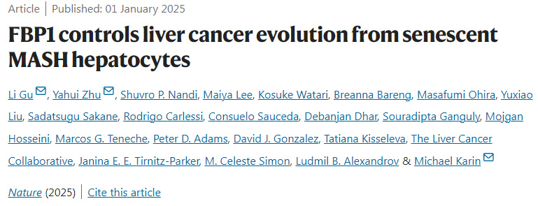 FBP1控制衰老的脂肪性肝炎肝細胞的肝癌演變