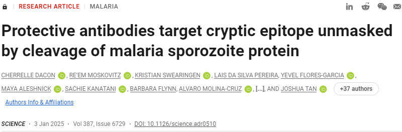 保護(hù)性抗體靶向瘧疾子孢子蛋白切割所揭示的隱性表位