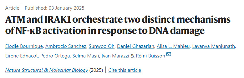 ATM和IRAK1協(xié)調(diào)兩種不同的NF-κB激活機制以應(yīng)對DNA損傷