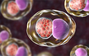 Cell：微生物組的變化預(yù)測(cè)性傳播疾病的風(fēng)險(xiǎn)