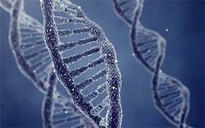 Nature子刊重磅！乳腺癌“殺人”幫兇被曝光，原來(lái)是膽固醇在助紂為虐