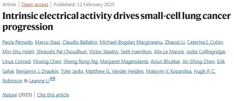 內(nèi)源性電活動(dòng)驅(qū)動(dòng)小細(xì)胞肺癌進(jìn)展