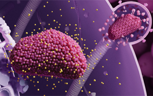 生物醫(yī)藥領(lǐng)跑2024《科學》十大突破：從艾滋病到CAR-T療法，未來已來