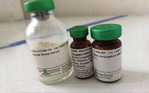 血清選購全攻略：教你慧眼識各類優(yōu)質(zhì)血清產(chǎn)品