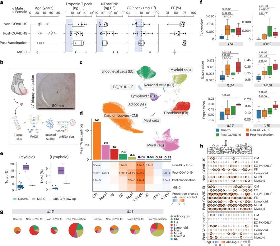 非COVID-19、COVID-19后以及疫苗接種后的炎癥性心肌病具有獨(dú)特的細(xì)胞和分子特征
