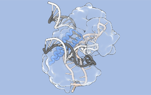 Science：張鋒團隊擴大基因組編輯的工具箱