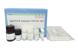 西寶生物隆重推出兩款蛋白酶檢測試劑盒 - 精準(zhǔn)檢測，賦能生物制藥質(zhì)量控制