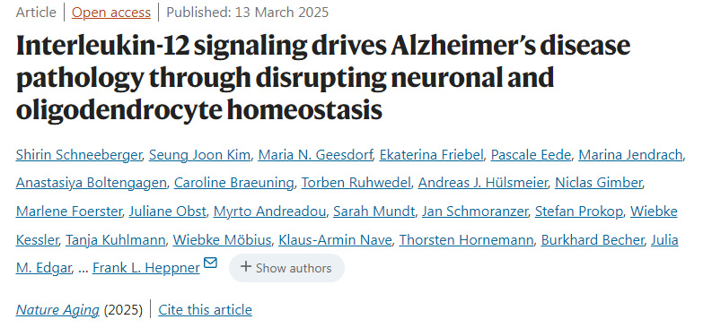 白細(xì)胞介素-12信號通路通過破壞神經(jīng)元與少突膠質(zhì)細(xì)胞穩(wěn)態(tài)驅(qū)動阿爾茨海默病病理進程