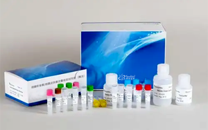 新品上市|硫酸軟骨素/硫酸皮膚素定量檢測試劑盒-關(guān)注糖胺聚糖檢測，助力藥品安全與科研創(chuàng)新！