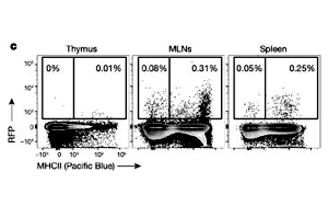Nature：T細(xì)胞也需要“早教”，只要細(xì)菌教得好，機(jī)體免疫差不了！