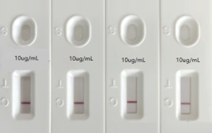 人偏肺病毒（hMPV）抗原檢測-免疫層析 （膠體金、彩色乳膠及熒光免疫層析）解決方案