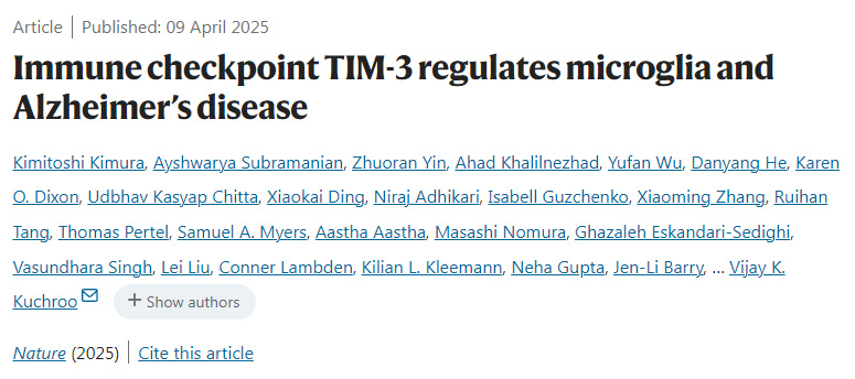 免疫檢查點(diǎn)TIM-3調(diào)節(jié)小膠質(zhì)細(xì)胞和阿爾茨海默病