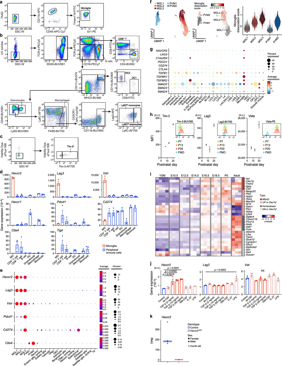 Havcr2在小膠質(zhì)細(xì)胞中高度表達(dá)，并由TGFβ誘導(dǎo)