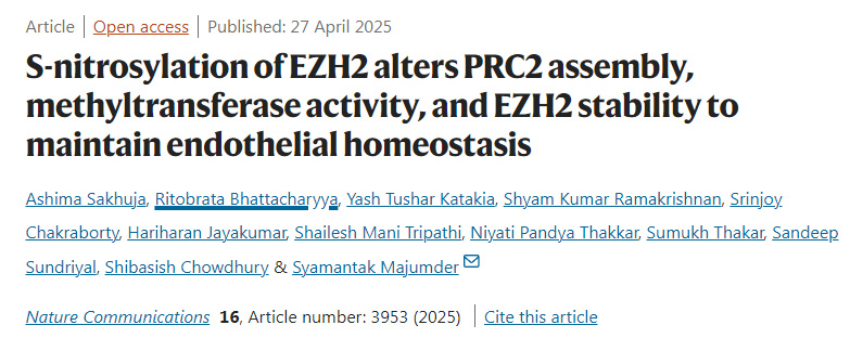 EZH2的S-亞硝基化通過改變PRC2復(fù)合物的組裝、甲基轉(zhuǎn)移酶活性及EZH2的穩(wěn)定性來維持內(nèi)皮穩(wěn)態(tài)