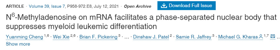  mRNA上的N6-甲基腺苷通過促進(jìn)相分離核體的形成抑制髓系白血病分化