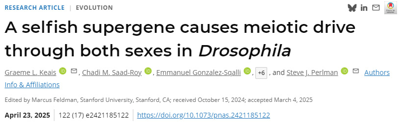  一種自私超基因在果蠅雌雄兩性中引發(fā)減數(shù)分裂驅(qū)動(dòng)