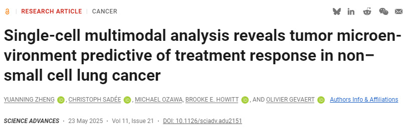 單細(xì)胞多模態(tài)分析揭示非小細(xì)胞肺癌腫瘤微環(huán)境對(duì)治療反應(yīng)的預(yù)測(cè)作用
