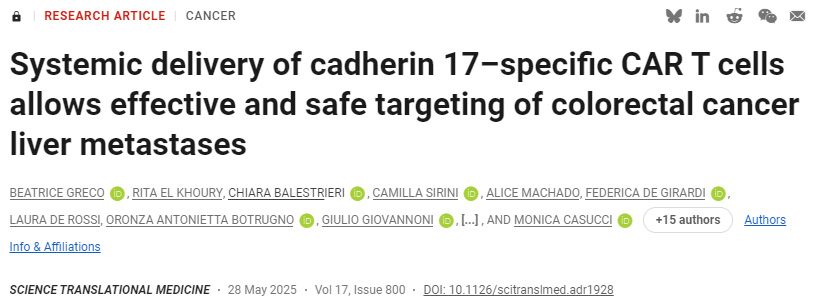 鈣黏蛋白17特異性CAR T細(xì)胞的全身遞送可實(shí)現(xiàn)結(jié)直腸癌肝轉(zhuǎn)移灶的安全有效靶向治療