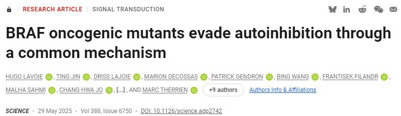 BRAF致癌突變體通過共同機制規(guī)避自身抑制