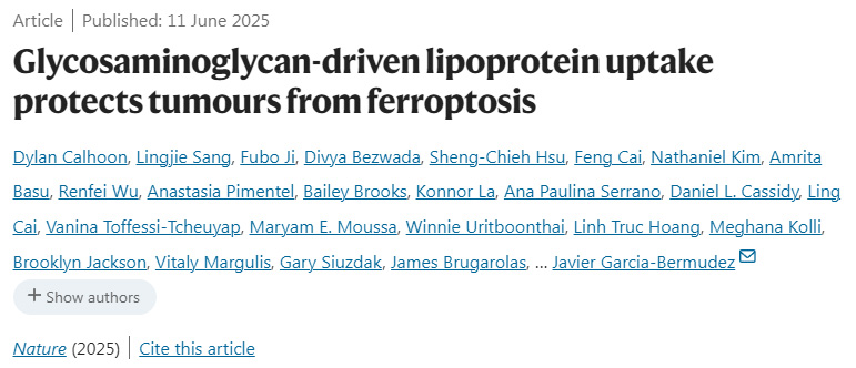 糖胺聚糖驅(qū)動的脂蛋白攝取可保護(hù)腫瘤免受鐵死亡影響