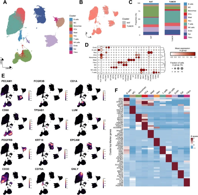  腎細胞癌的單細胞RNA測序分析
