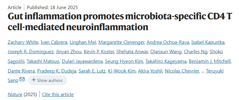 腸道炎癥促進微生物群特異性CD4 T細胞介導的神經(jīng)炎癥