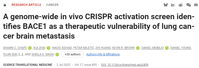 CD4+ T細(xì)胞允許庫普弗細(xì)胞逆轉(zhuǎn)肝細(xì)胞啟動(dòng)誘導(dǎo)的CD8+ T細(xì)胞功能障礙