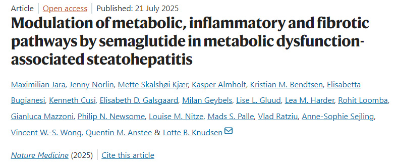 司美格魯肽在代謝功能障礙相關(guān)脂肪性肝炎中對代謝、炎癥和纖維化通路的調(diào)節(jié)作用