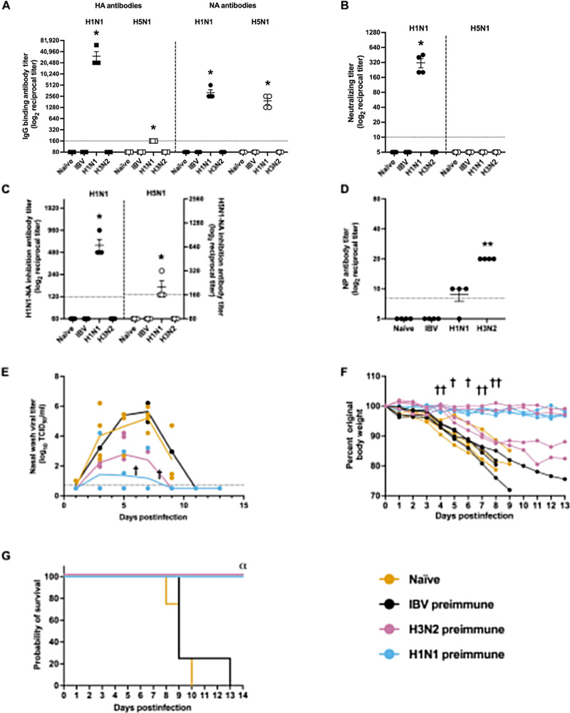 針對季節(jié)性H3N2病毒或2009年甲型H1N1流感病毒的預存免疫力，可有效預防雪貂因甲型水貂流感病毒（H5N1）感染引發(fā)的嚴重疾病