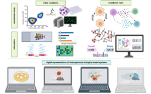 Cell：多年、多實驗室合作，科學家們成功模擬癌細胞