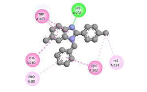 組蛋白去乙?；?通過去乙?；c泛素化修飾ATG3調(diào)控自噬的新機(jī)制
